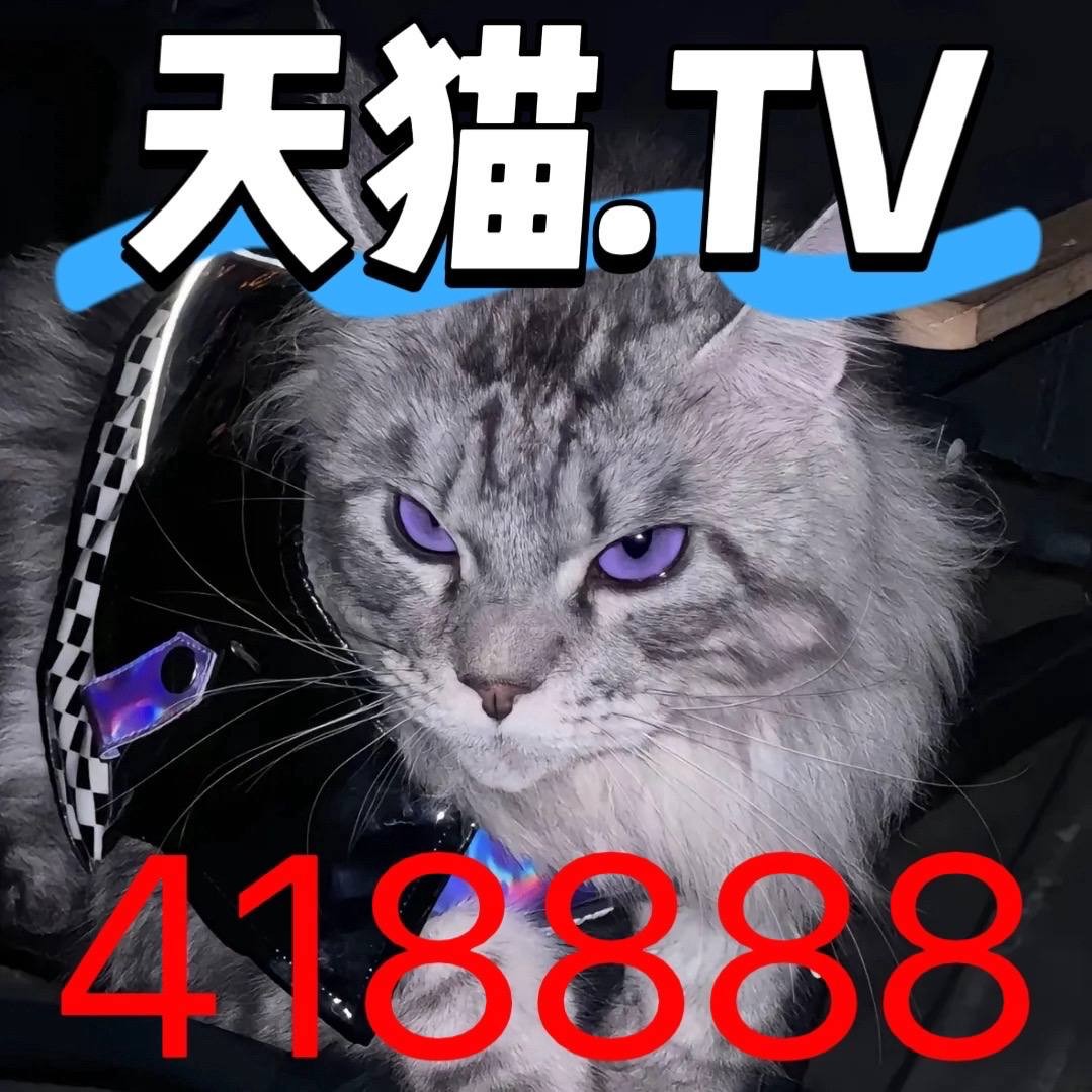 公告轮播图